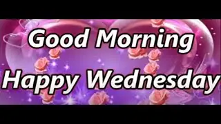 Wednesday,Happy Wednesday Video,Happy Wednesday Status,Wednesday Wishes,Greetings