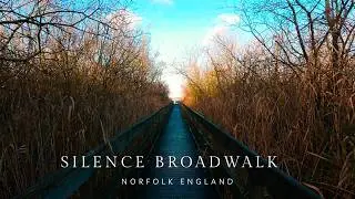 Nature Walk Through the Broads | Barton Boardwalk, Norfolk England