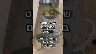 צמח מרפא ג'ימנמה
