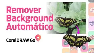 CorelDRAW Go - Como Remover Background Autom&aacute;tico