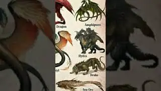 Types of dragon || Hydra dragon || #youtubeshorts #dragon