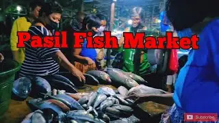 Cebu City - 3AM @ Pasil Fish Market | Fresh Fish | Philippines