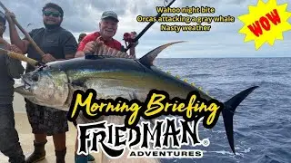 Wahoo night bite on the Intrepid, orcas in SoCal eating dolphin, attacking gray whales, weather