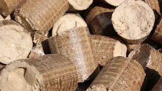 Производство древесных пеллет из опилок с помощью гранулятора