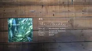The Needle #1: Andrew Thomas - Fearsome Jewel review