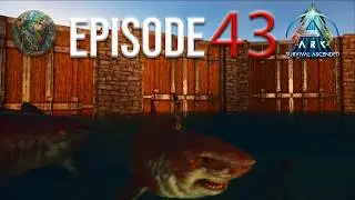#43 Sharks' boot camp | Ark: The Island Ascended | 2026 PC Gameplay