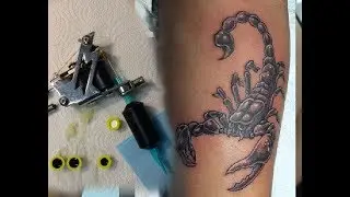 Tatuando un escorpión alacrán 🦂  / Tattooing Scorpion timelapse - Nosfe Ink Tattoo dibujos tatuajes