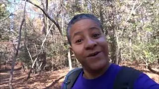 Hiking The Weymouth Woods