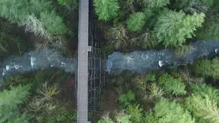 Holt Trestle Jan 2021