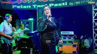 CAMELIA MUSIC - BAGAI DISAMBAR PETIR SELLY PRAWOTO - HAPPY PARTY GIBING ORGANIZER -KARANGSARI CLUWAK