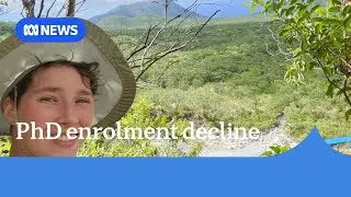 Domestic PhD enrolments are declining | ABC News