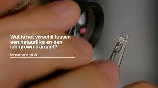 Zeeman diamant expertvideo