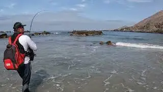 Pesca Iquique Lenguados con pejerrey playas de difícil acceso.