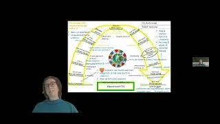 2026 volgens de Tzolkin kalender (Maya astrologie)