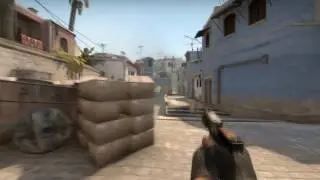 CS:GO - ESEA goof