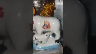 Aaj Subah Ki Puja Shubh Ravivar Jai Ho Krishna bhagwan Jai Ho Dinkar Bhagwan🙏🙏🕉🪔🚩