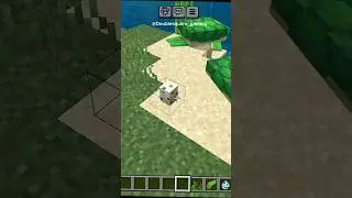How to hatch turtle egg in Minecraft?