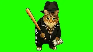 OIIA OIIA MAFIA Spinning CAT