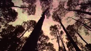 Kevin Skinner   If tomorrow never comes video hd