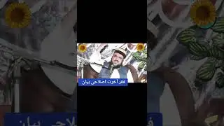 Sahibzada Hassnaat Ahmad Chishti Sahib