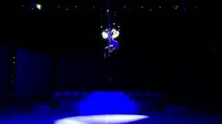 Stefani Art Agency represent aerial attraction #110