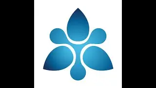 Transchem, Inc.