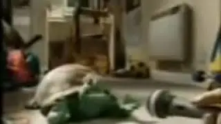 tortuga cantando persa 1 hora!!