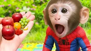 El pequeño mono Bim y un día de aventuras con sus dos amigos arcoíris