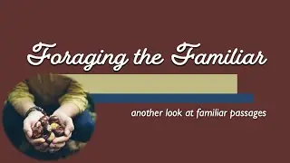 Foraging the Familiar: Another Look at Familiar Passages, Part Five, a Talking Donkey