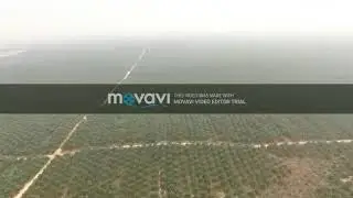 PT. Flora Nusa Perdana - kebun Sei Rungan