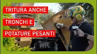 Cippatore professionale per potature pesanti rami e tronchi fino a 20 cm