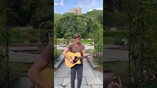 All My Loving (The Beatles) Cover - Played In Central Park