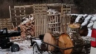 Northwest PA firewood  is live! splitting oak