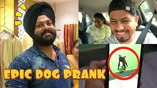 EPIC DOG PRANK ON MY FAMILY | Vlog 131