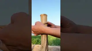 I Trust This Perfect Knot!