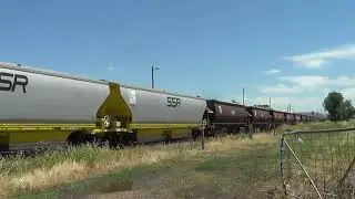 4532+44223+L277+RL302+RL305+RL301=Werris Creek