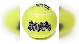 Review: Bola Kong Squeakair Small Amarela Para Cachorro Pequeno 3 Un