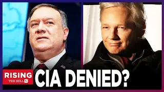FREE ASSANGE: Wikileaks Founder's Lawyer on WHAT'S NEXT