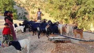 Nomad Man Digs Well By Hand: The Kuch Family's Resourceful Lifestyle | Nomad Life