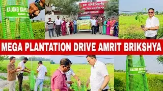 KKV Participating in Mega Plantation Drive Amrit Brikshya Andolan 2024 #kalongkapilividyapith #kkv