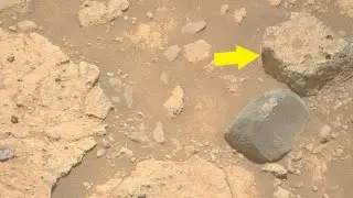 НАСА опубликовало интересные снимки Марса, сделанные марсоходом Perseverance на 1494-й марсиански...