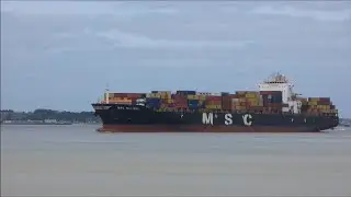 MSC Nerissa departs Felixstowe after cargo operations issues   29th May 2023
