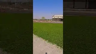 Green chilli #redchillies #greenchilli greenchilli #food #exporter #short #viralvideo
