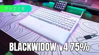 RAZER BlackWidow V4 75% Unboxing🐍