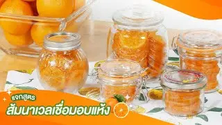 แจกสูตร! ส้มนาเวลเชื่อมอบแห้ง ด้วยเครื่องอบอาหารและผลไม้แห้ง HOMEMATE อร่อย ทำง่าย แถมเก็บไว้ได้นาน!