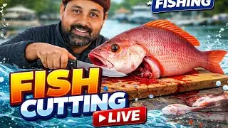 🔴 LIVE Fish Cutting Now | আজ এত বড় মাছ! 😱