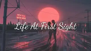 初見時便已傾心 🎧 Alexander Stewart - Life At First Sight 中英字幕