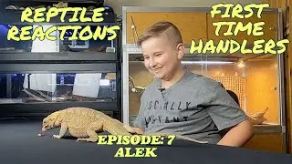 REPTILE REACTIONS! First time reptile handlers with a gecko, snakes and a bearded dragon.