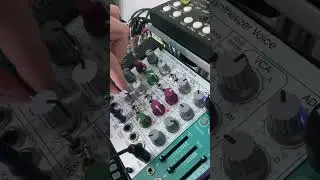 Modulations on the Doepfer A-111-5 synthesiser voice
