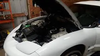 Lq4 Trans Am Open Headers